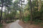 산림청, 국유림 희리산.jpg